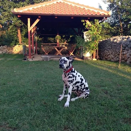 Lejlighed 3796-1 Zaton (Zadar)