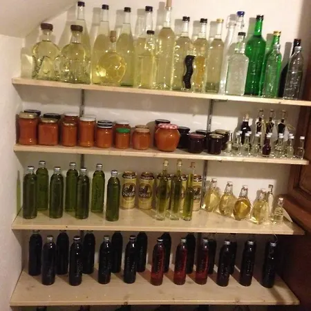 3796-1 * Zaton (Zadar)