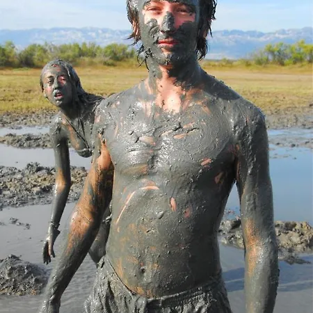 3796-1 * Zaton (Zadar)