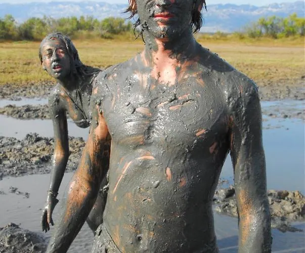 3796-1 * Zaton (Zadar)