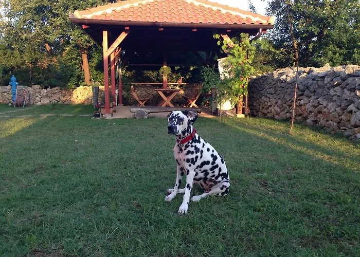 Appartement 3796-1 Zaton (Zadar)